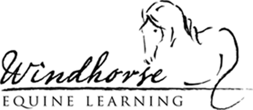 Windhorse Equine Logo